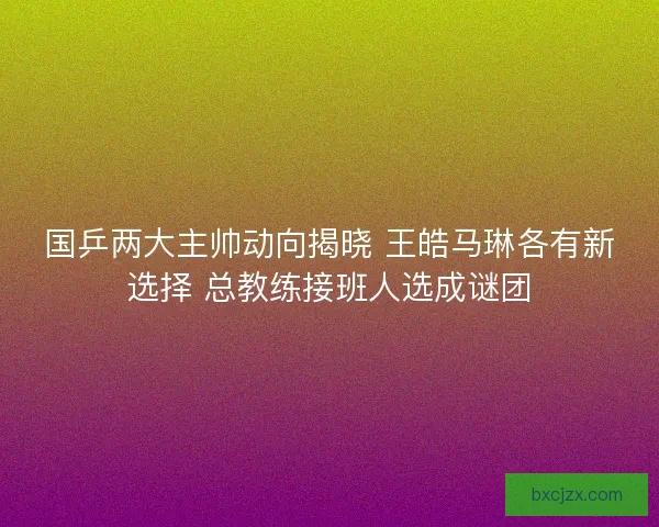 国乒两大主帅动向揭晓 王皓马琳各有新选择 总教练接班人选成谜团